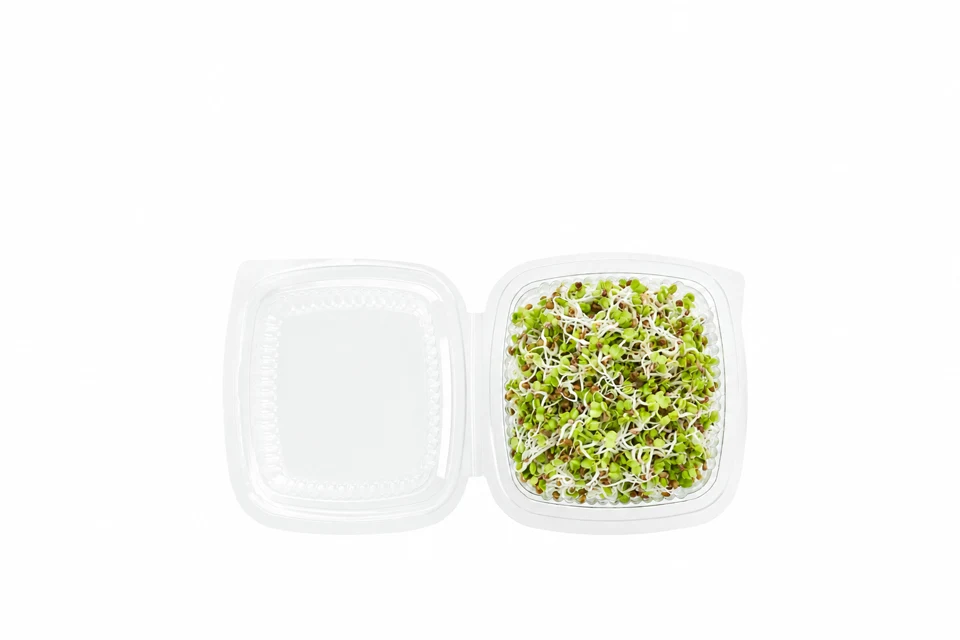 Daikon radish sprouts