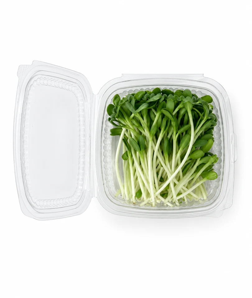 Sunflower shoots