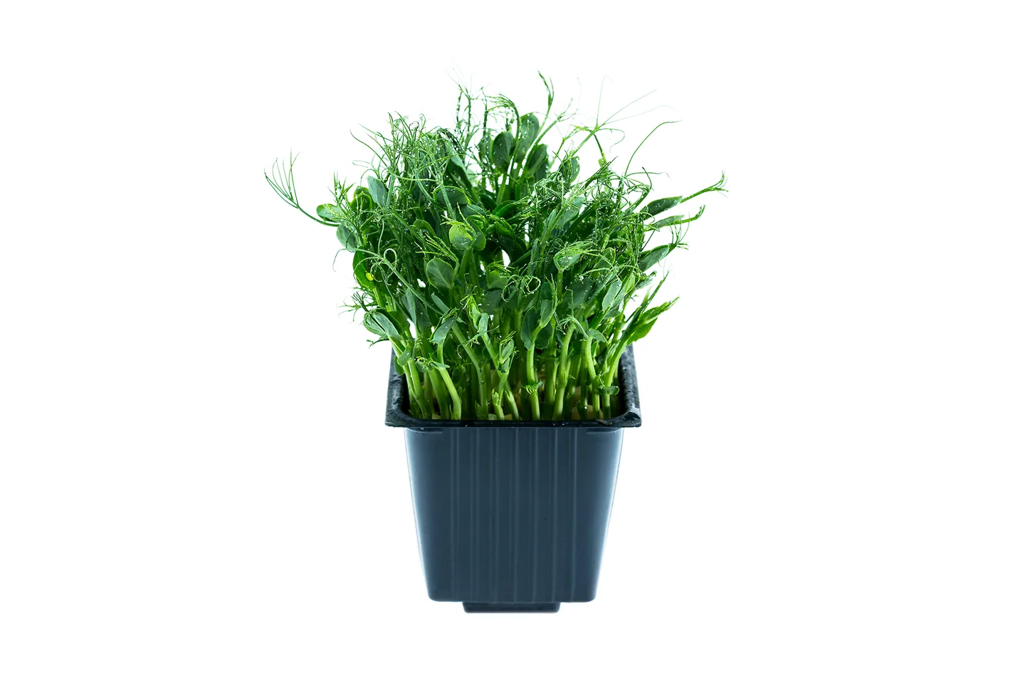 Peas