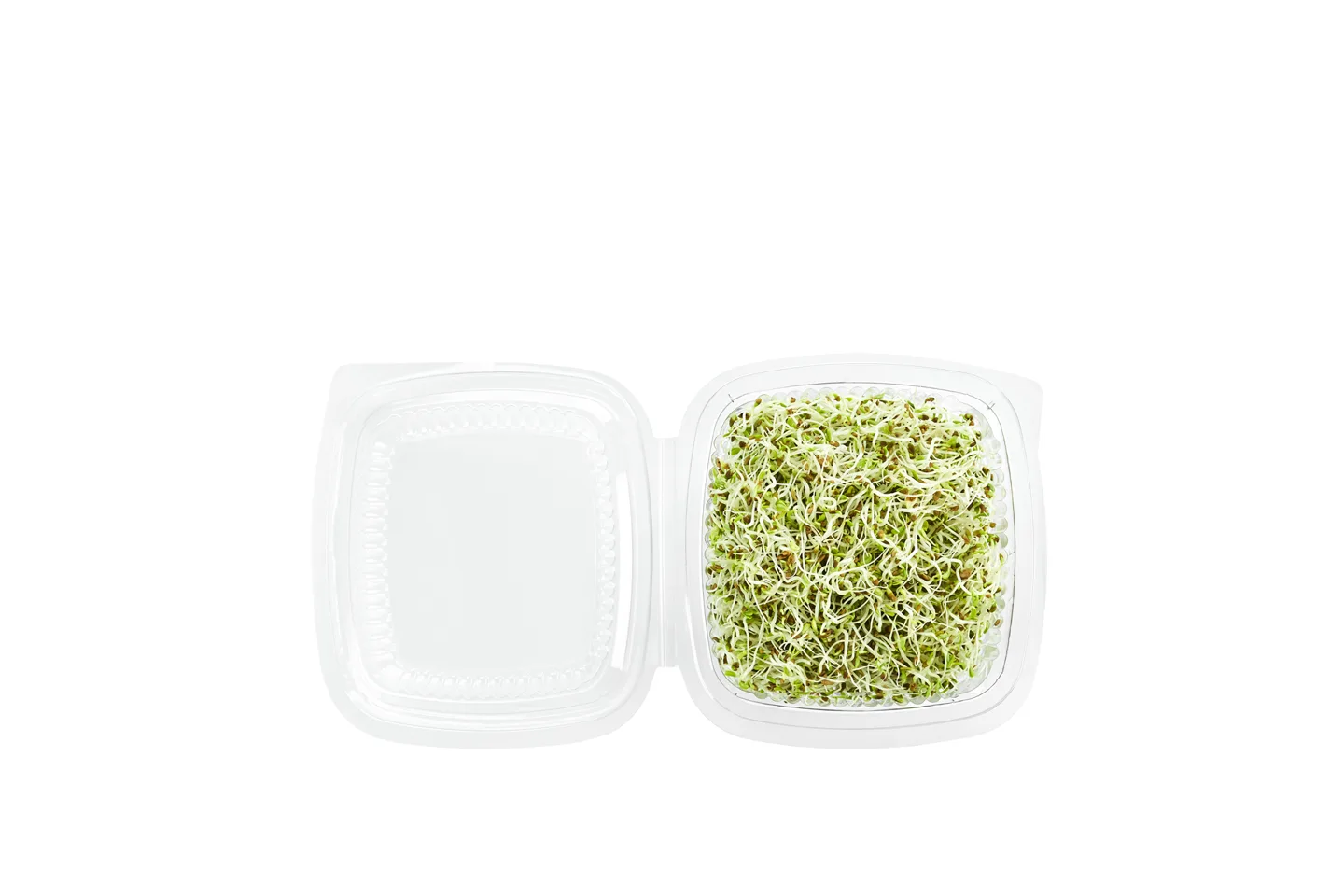 Alfalfa sprouts